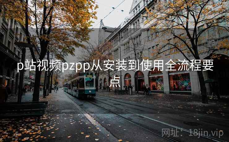 p站视频pzpp从安装到使用全流程要点 p站视频pzpp从安装到使用全流程要点