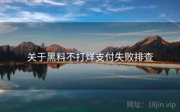 关于黑料不打烊支付失败排查