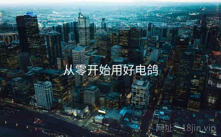 从零开始用好电鸽 从零开始用好电鸽