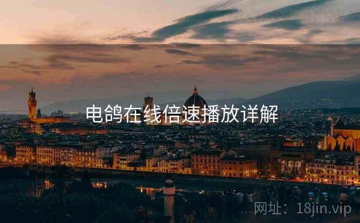 电鸽在线倍速播放详解 电鸽在线倍速播放详解