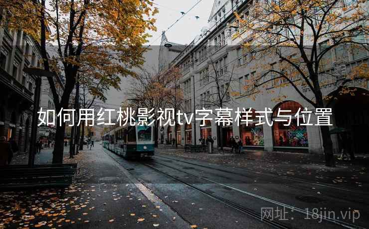 如何用红桃影视tv字幕样式与位置