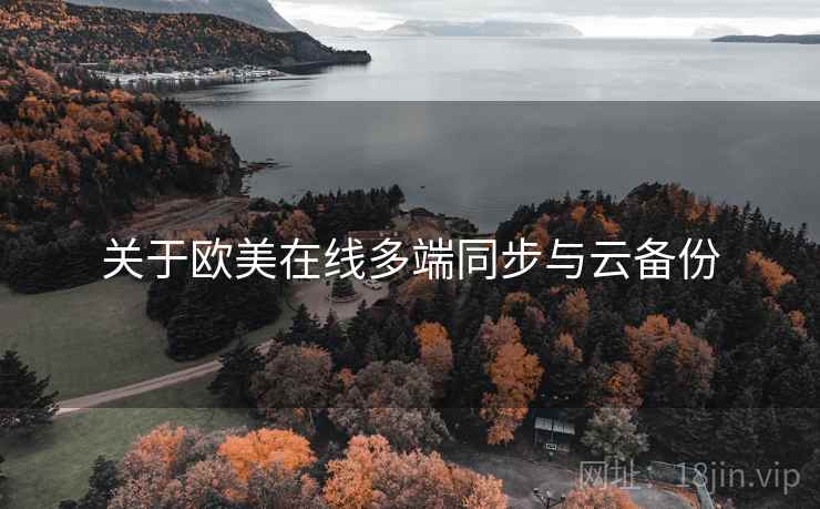 关于欧美在线多端同步与云备份 关于欧美在线多端同步与云备份