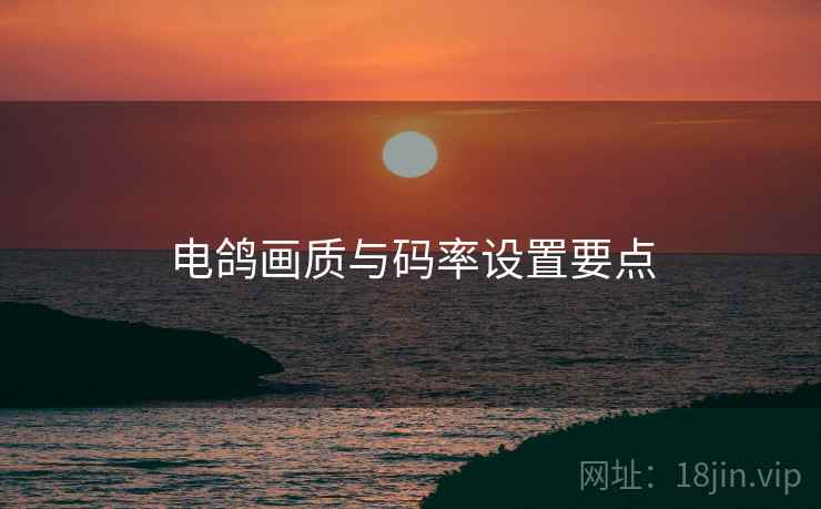 电鸽画质与码率设置要点