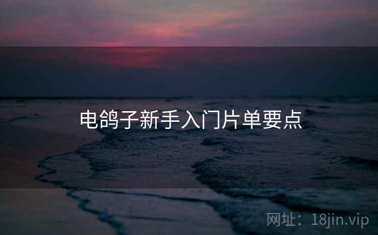 电鸽子新手入门片单要点