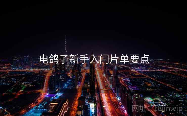 电鸽子新手入门片单要点