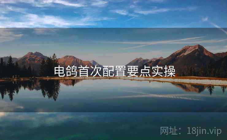 电鸽首次配置要点实操 电鸽首次配置要点实操