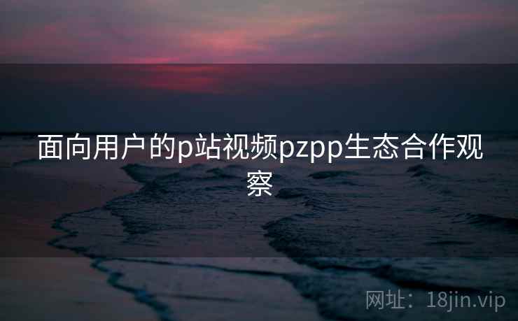 面向用户的p站视频pzpp生态合作观察 面向用户的p站视频pzpp生态合作观察