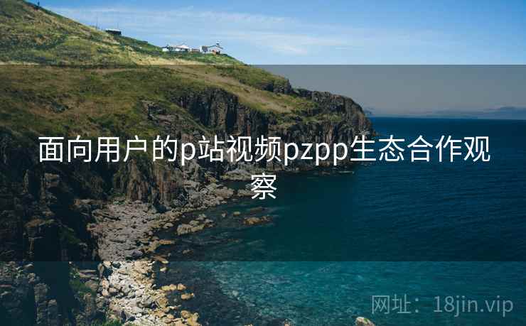 面向用户的p站视频pzpp生态合作观察
