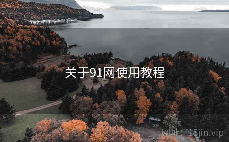 关于91网使用教程 关于91网使用教程