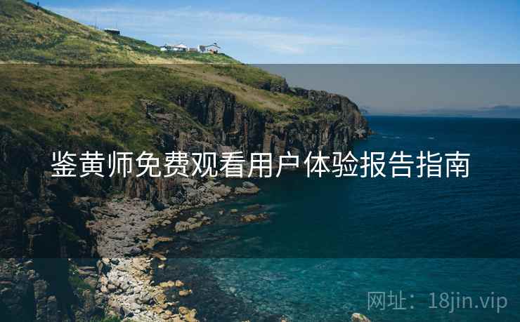 鉴黄师免费观看用户体验报告指南